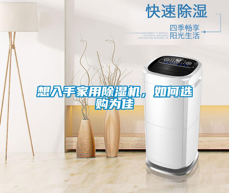 想入手家用除濕機，如何選購為佳