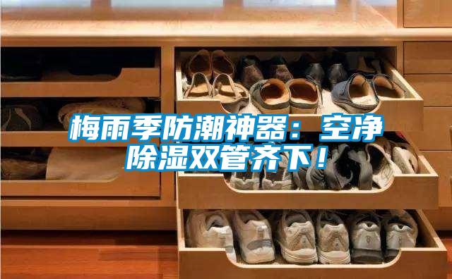 梅雨季防潮神器：空凈除濕雙管齊下！