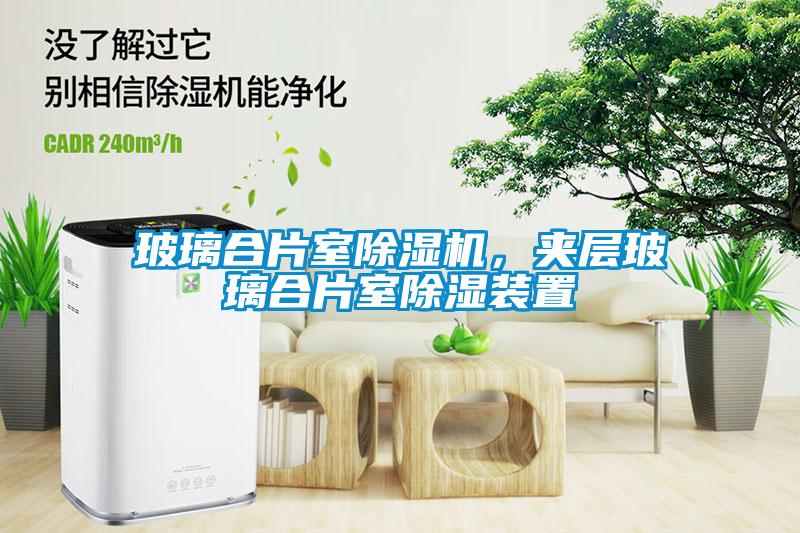 玻璃合片室除濕機，夾層玻璃合片室除濕裝置