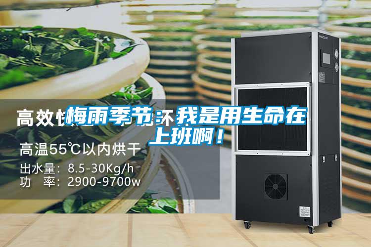 梅雨季節(jié):我是用生命在上班??!