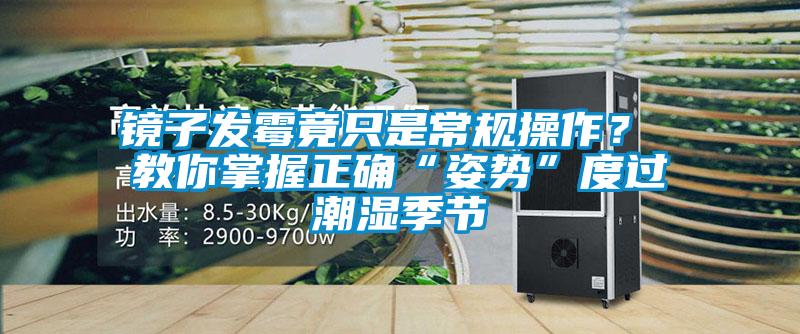 鏡子發(fā)霉竟只是常規(guī)操作？ 教你掌握正確“姿勢”度過潮濕季節(jié)