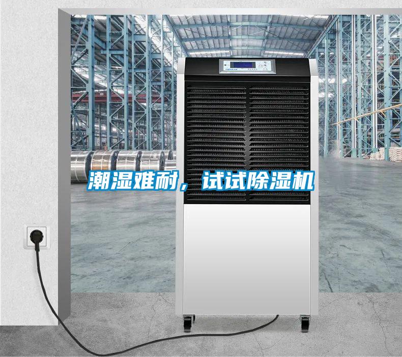 潮濕難耐，試試除濕機(jī)