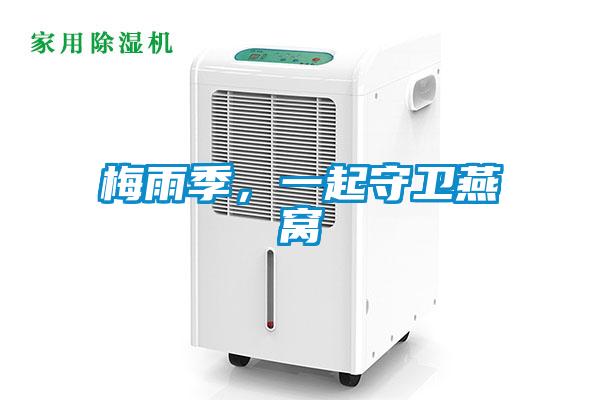 梅雨季，一起守衛(wèi)燕窩
