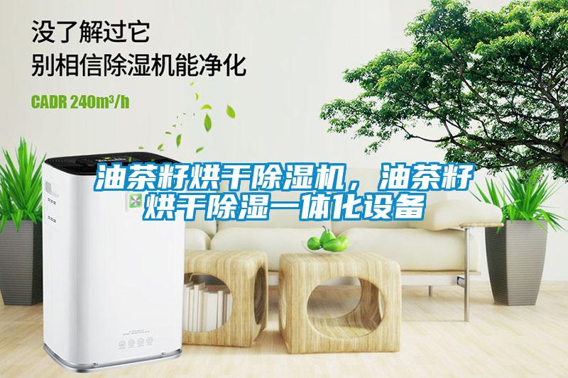 油茶籽烘干除濕機，油茶籽烘干除濕一體化設備