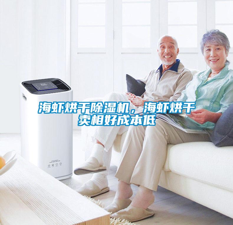 海蝦烘干除濕機(jī)，海蝦烘干賣相好成本低