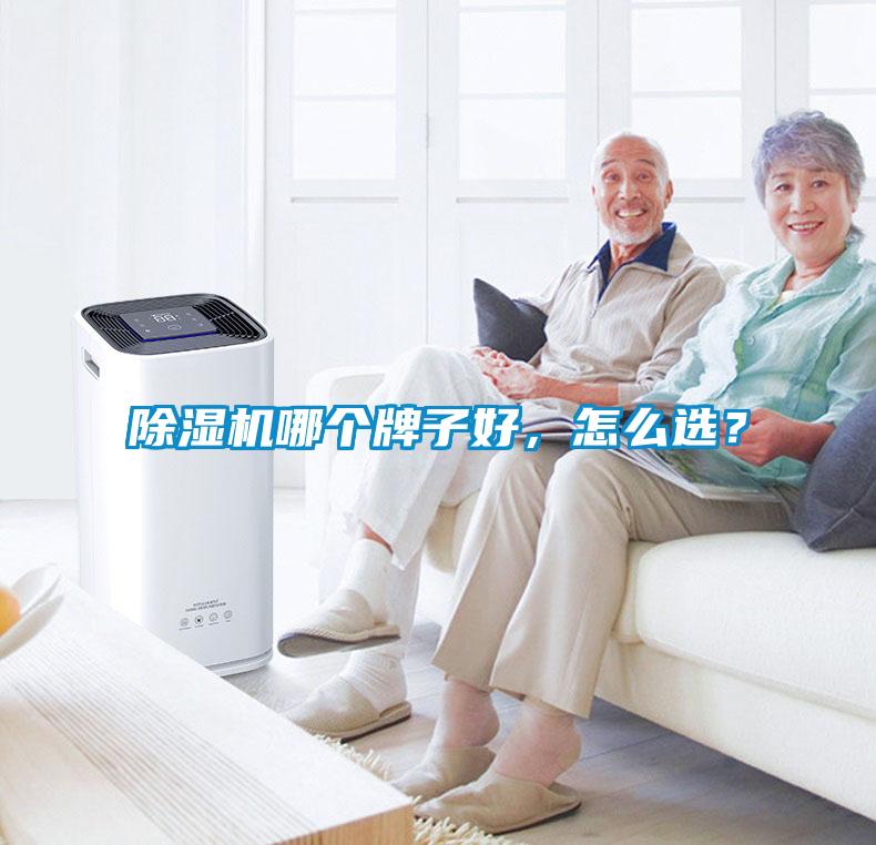 除濕機(jī)哪個(gè)牌子好，怎么選？