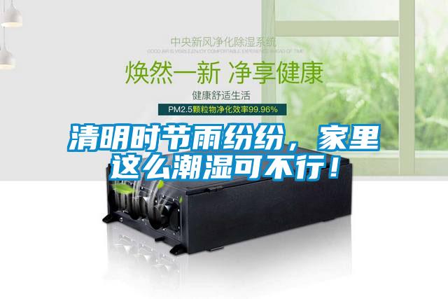 清明時(shí)節(jié)雨紛紛，家里這么潮濕可不行！