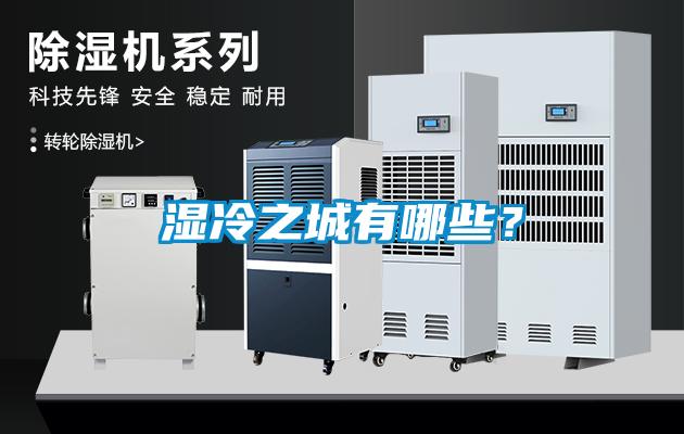 濕冷之城有哪些？
