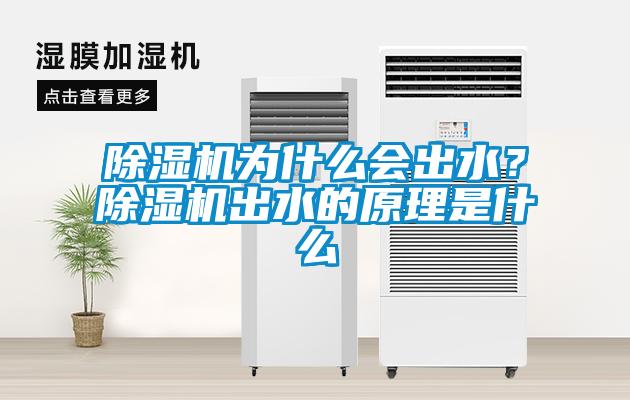 除濕機(jī)為什么會(huì)出水？除濕機(jī)出水的原理是什么