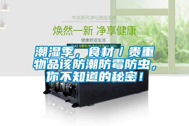 潮濕季，食材／貴重物品該防潮防霉防蟲(chóng)，你不知道的秘密！
