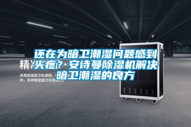 還在為暗衛(wèi)潮濕問題感到頭疼？安詩曼除濕機解決暗衛(wèi)潮濕的良方