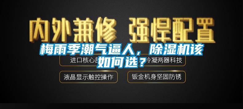 梅雨季潮氣逼人，除濕機(jī)該如何選？