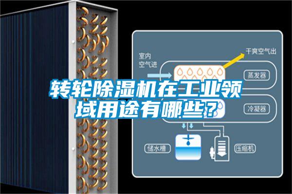 轉(zhuǎn)輪除濕機(jī)在工業(yè)領(lǐng)域用途有哪些？