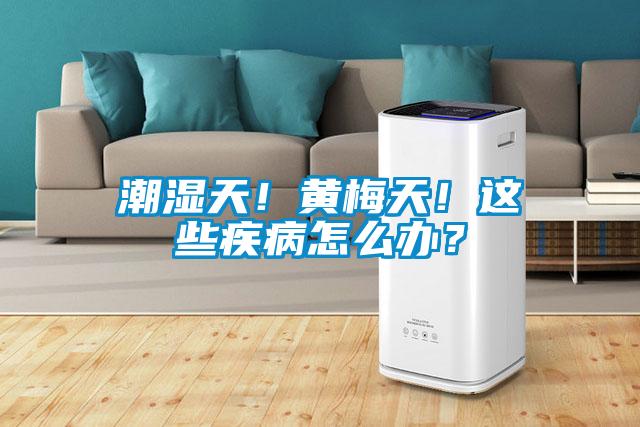 潮濕天！黃梅天！這些疾病怎么辦？