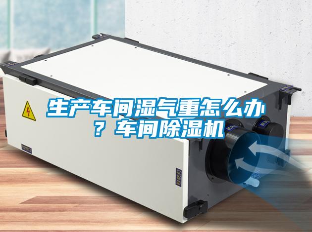 生產(chǎn)車間濕氣重怎么辦？車間除濕機(jī)