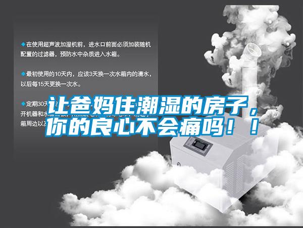 讓爸媽住潮濕的房子，你的良心不會痛嗎?。?/></p>
						    <p style=