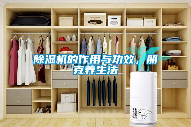 除濕機(jī)的作用與功效，朋克養(yǎng)生法