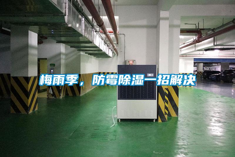 梅雨季，防霉除濕一招解決