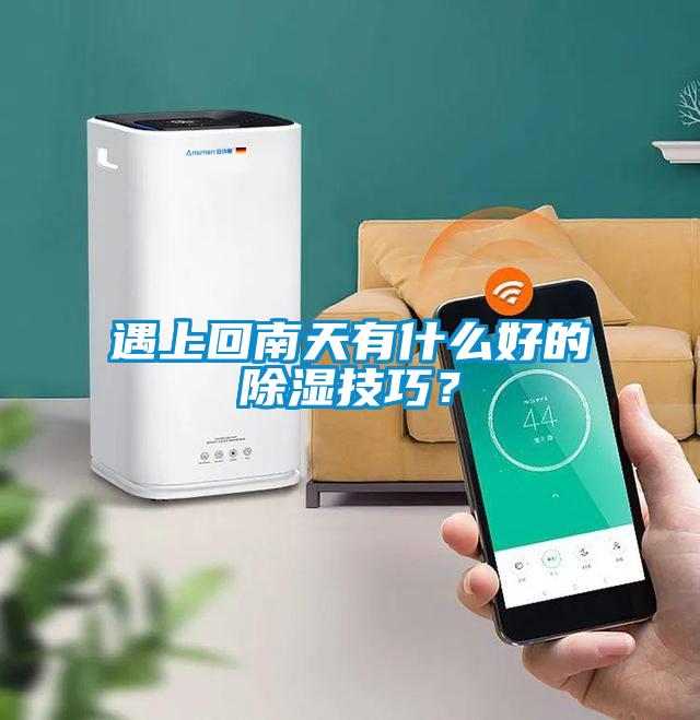 遇上回南天有什么好的除濕技巧？