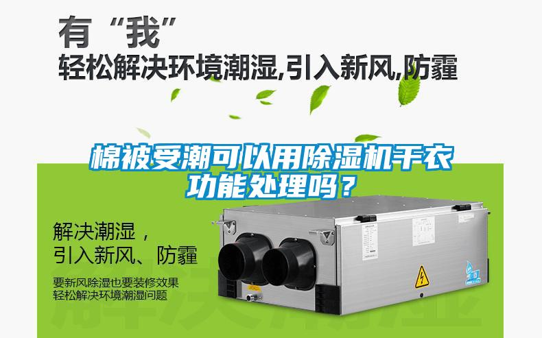 棉被受潮可以用除濕機干衣功能處理嗎？