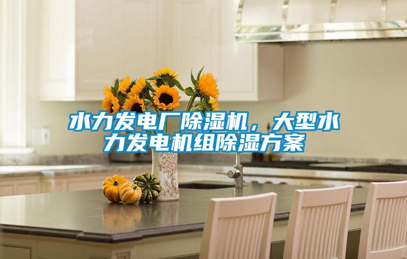 水力發(fā)電廠除濕機(jī)，大型水力發(fā)電機(jī)組除濕方案