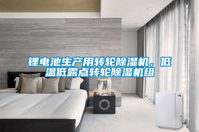 鋰電池生產(chǎn)用轉(zhuǎn)輪除濕機(jī)，低溫低露點(diǎn)轉(zhuǎn)輪除濕機(jī)組