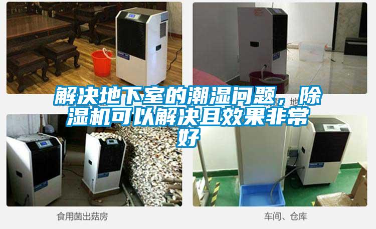 解決地下室的潮濕問題，除濕機(jī)可以解決且效果非常好