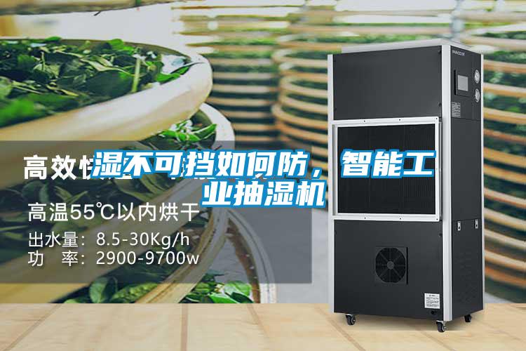 濕不可擋如何防，智能工業(yè)抽濕機