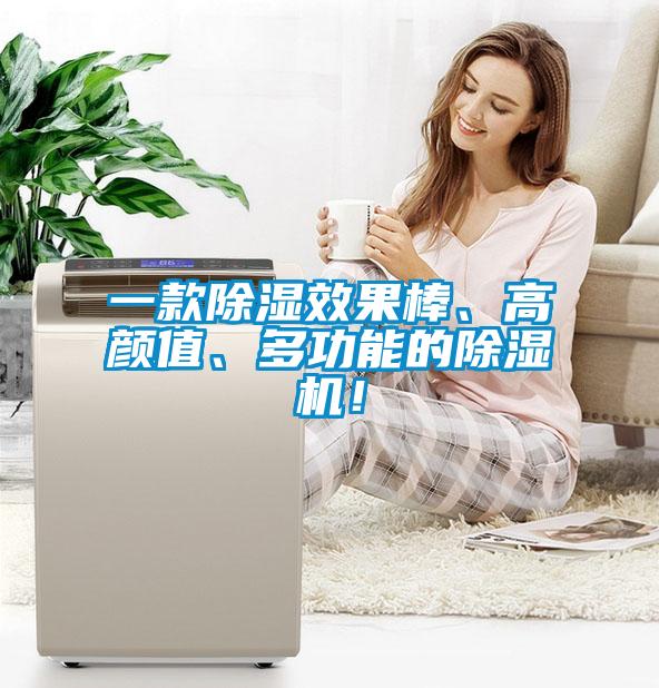 一款除濕效果棒、高顏值、多功能的除濕機(jī)！