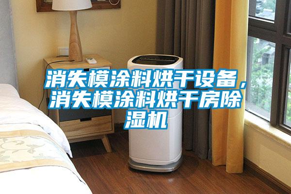 消失模涂料烘干設備，消失模涂料烘干房除濕機