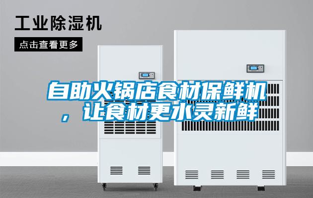 自助火鍋店食材保鮮機，讓食材更水靈新鮮