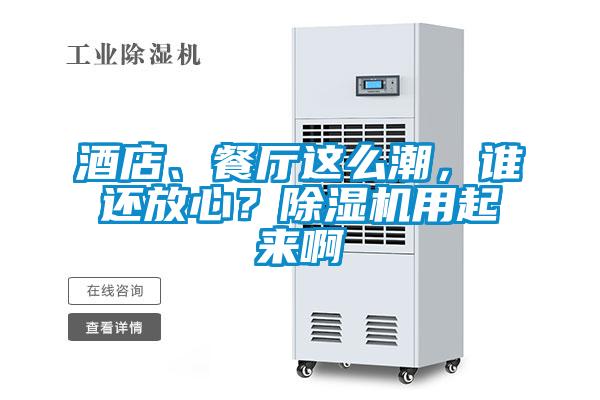 酒店、餐廳這么潮，誰(shuí)還放心？除濕機(jī)用起來(lái)啊