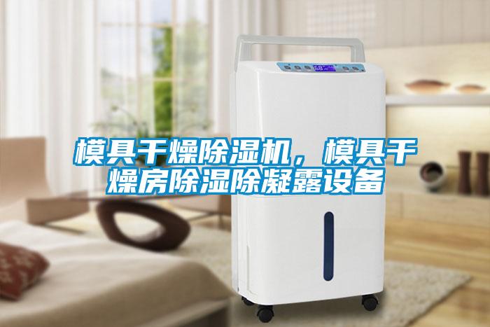 模具干燥除濕機，模具干燥房除濕除凝露設備