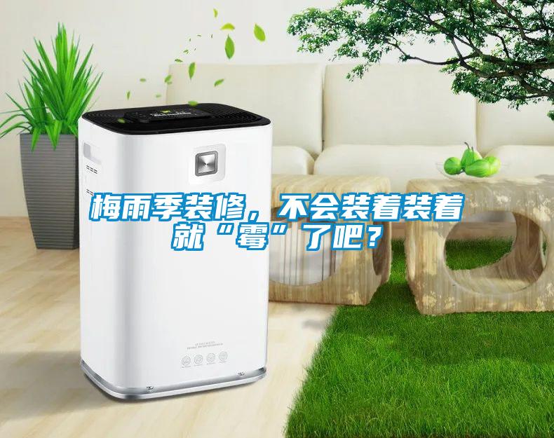 梅雨季裝修，不會裝著裝著就“霉”了吧？