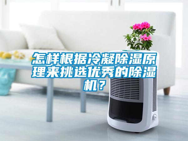 怎樣根據(jù)冷凝除濕原理來挑選優(yōu)秀的除濕機？