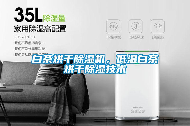 白茶烘干除濕機(jī)，低溫白茶烘干除濕技術(shù)