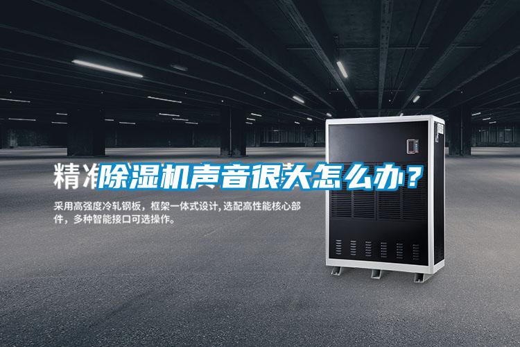 除濕機(jī)聲音很大怎么辦？