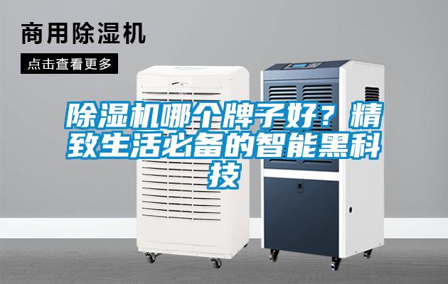 除濕機(jī)哪個(gè)牌子好？精致生活必備的智能黑科技