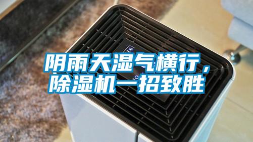 陰雨天濕氣橫行，除濕機(jī)一招致勝
