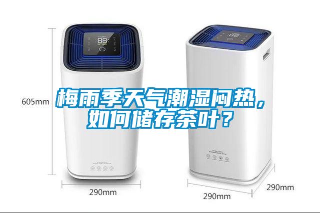 梅雨季天氣潮濕悶熱，如何儲(chǔ)存茶葉？