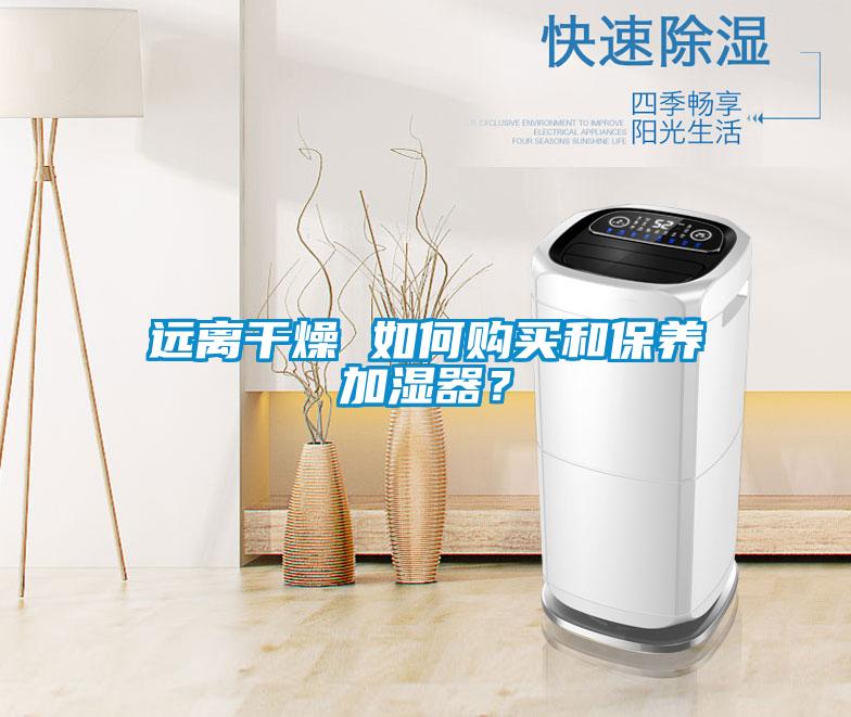遠(yuǎn)離干燥 如何購(gòu)買(mǎi)和保養(yǎng)加濕器？