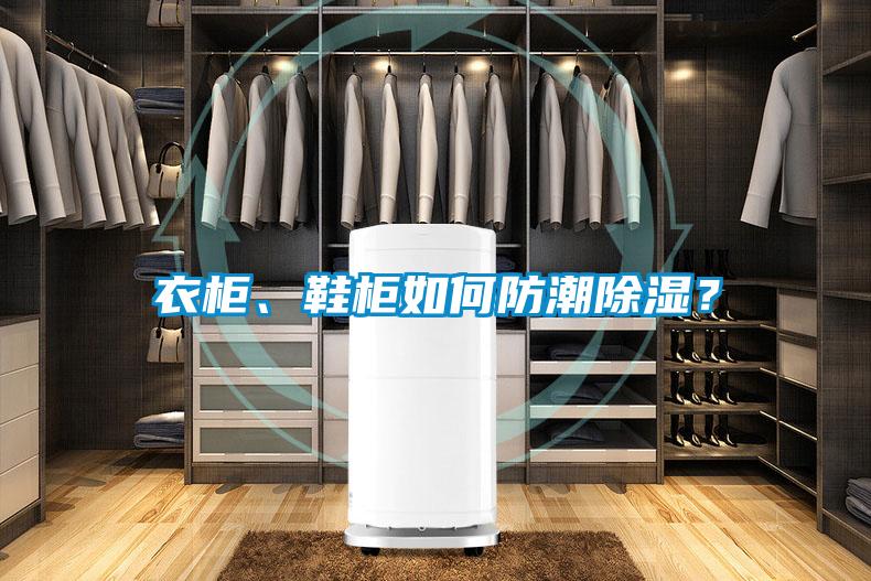 衣柜、鞋柜如何防潮除濕？