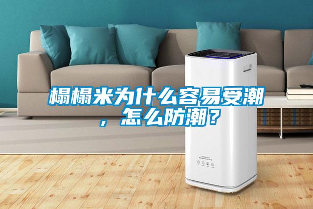 榻榻米為什么容易受潮，怎么防潮？