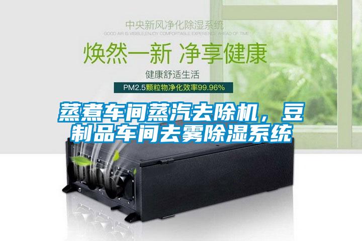 蒸煮車間蒸汽去除機(jī)，豆制品車間去霧除濕系統(tǒng)