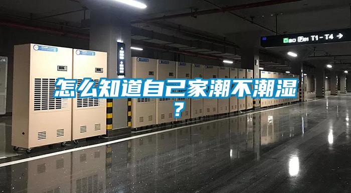 怎么知道自己家潮不潮濕？