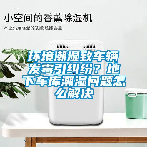 環(huán)境潮濕致車輛發(fā)霉引糾紛？地下車庫潮濕問題怎么解決