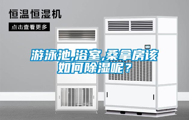 游泳池,浴室,桑拿房該如何除濕呢？