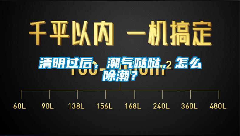 清明過后，潮氣噠噠，怎么除潮？