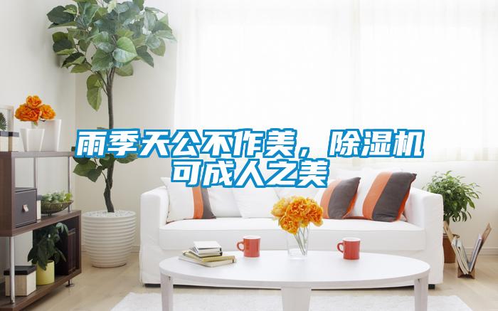 雨季天公不作美，除濕機可成人之美