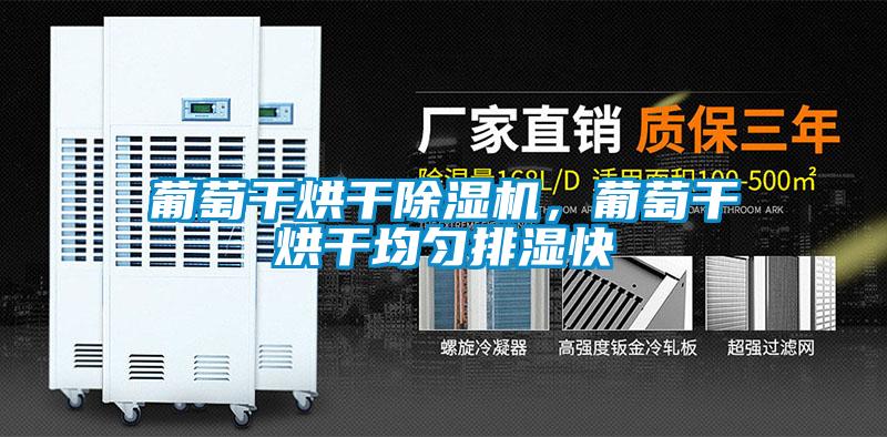 葡萄干烘干除濕機，葡萄干烘干均勻排濕快